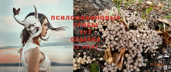 гидропоника Богданович