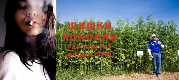 прущая мука Богородицк