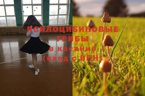 прущая мука Богородицк